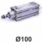 Cilindri pneumatici ISO 15552 Piston Ø100